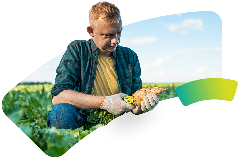 Agriculteur dans un champ